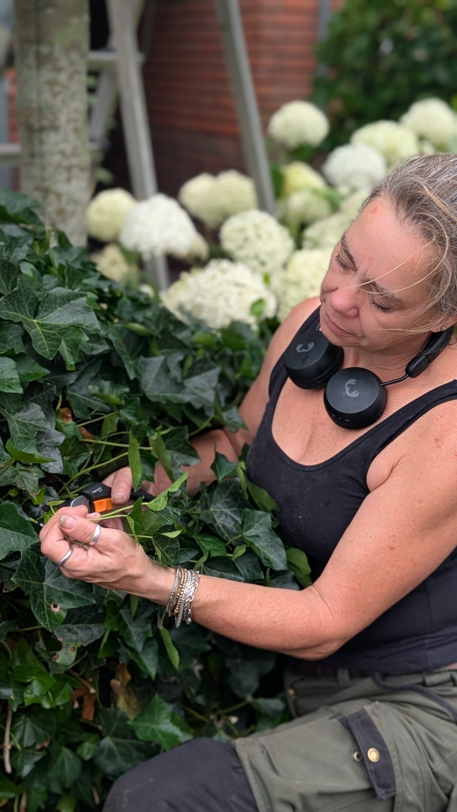 Nathalie snoeit klimop bij witte hortensia's